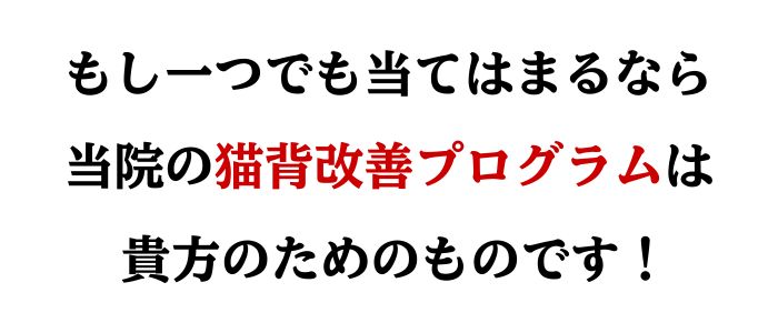 猫背改善プログラムは貴方のものです